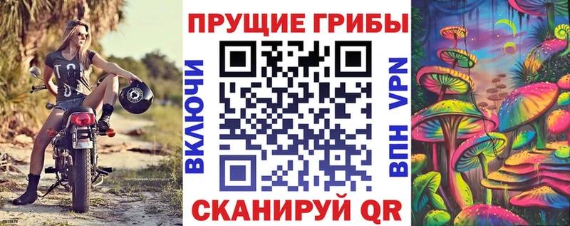 где продают   Олёкминск  Псилоцибиновые грибы Magic Shrooms 